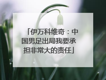 伊万科维奇：中国男足出局我要承担非常大的责任