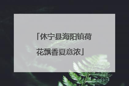 休宁县海阳镇荷花飘香夏意浓