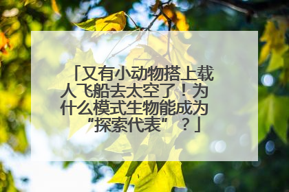 又有小动物搭上载人飞船去太空了！为什么模式生物能成为“探索代表”？