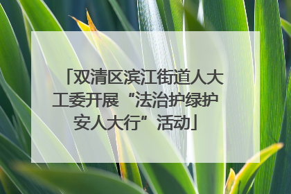 双清区滨江街道人大工委开展“法治护绿护安人大行”活动