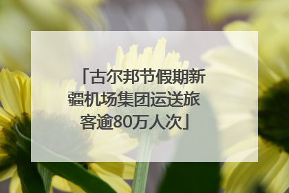古尔邦节假期新疆机场集团运送旅客逾80万人次