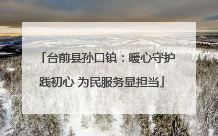 台前县孙口镇：暖心守护践初心 为民服务显担当