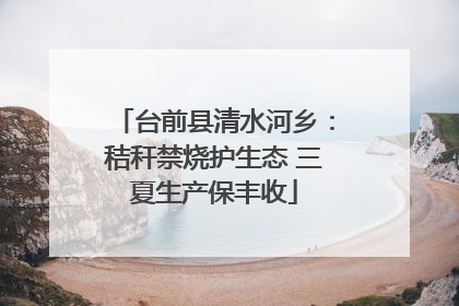 台前县清水河乡：秸秆禁烧护生态 三夏生产保丰收