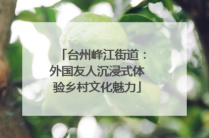 台州峰江街道：外国友人沉浸式体验乡村文化魅力