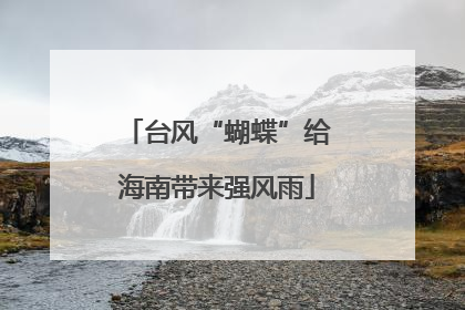 台风“蝴蝶”给海南带来强风雨