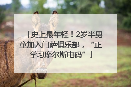 史上最年轻！2岁半男童加入门萨俱乐部，“正学习摩尔斯电码”
