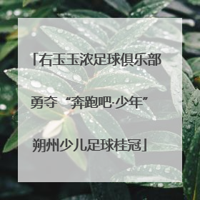 右玉玉浓足球俱乐部勇夺“奔跑吧·少年”朔州少儿足球桂冠
