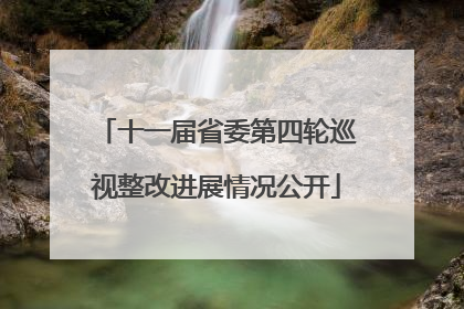 十一届省委第四轮巡视整改进展情况公开