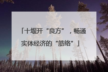 十堰开“良方”，畅通实体经济的“筋络”