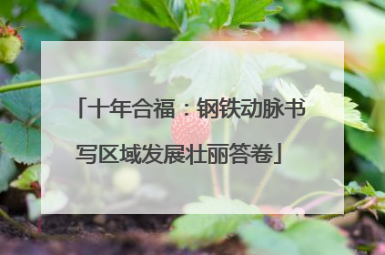 十年合福：钢铁动脉书写区域发展壮丽答卷