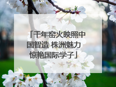 千年窑火映照中国智造 株洲魅力惊艳国际学子