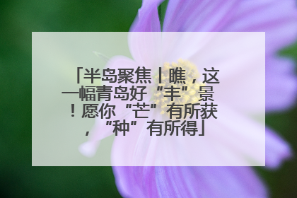 半岛聚焦丨瞧，这一幅青岛好“丰”景！愿你“芒”有所获，“种”有所得