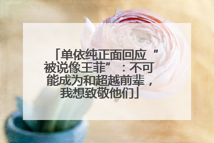 单依纯正面回应“被说像王菲”：不可能成为和超越前辈，我想致敬他们