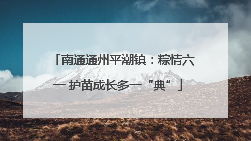 南通通州平潮镇：粽情六一 护苗成长多一“典”
