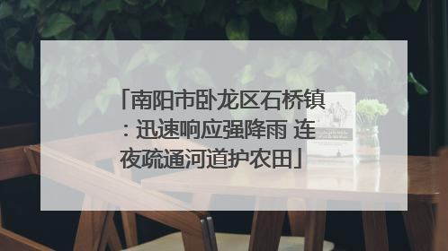 南阳市卧龙区石桥镇：迅速响应强降雨 连夜疏通河道护农田