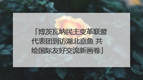 博茨瓦纳民主变革联盟代表团到访湖北嘉鱼 共绘国际友好交流新画卷