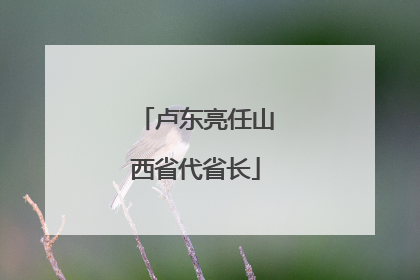 卢东亮任山西省代省长