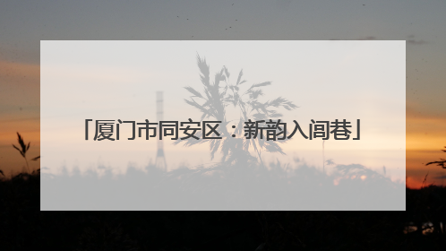 厦门市同安区：新韵入闾巷