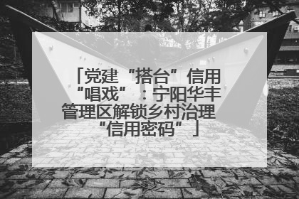 党建“搭台”信用“唱戏”：宁阳华丰管理区解锁乡村治理“信用密码”
