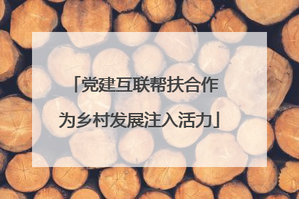 党建互联帮扶合作 为乡村发展注入活力