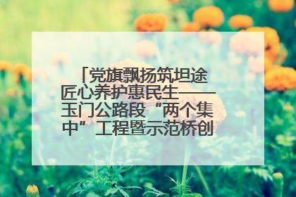 党旗飘扬筑坦途 匠心养护惠民生——玉门公路段“两个集中”工程暨示范桥创建项目圆满收官