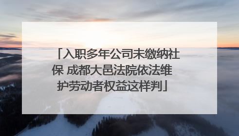 入职多年公司未缴纳社保 成都大邑法院依法维护劳动者权益这样判