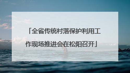 全省传统村落保护利用工作现场推进会在松阳召开
