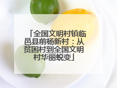 全国文明村镇临邑县前杨新村：从贫困村到全国文明村华丽蜕变