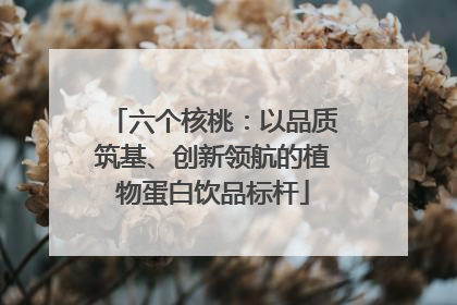 六个核桃：以品质筑基、创新领航的植物蛋白饮品标杆