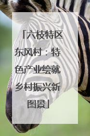 六枝特区东风村：特色产业绘就乡村振兴新图景