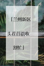 兰州新区头茬苜蓿收割忙