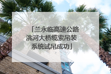 兰永临高速公路洮河大桥缆索吊装系统试吊成功