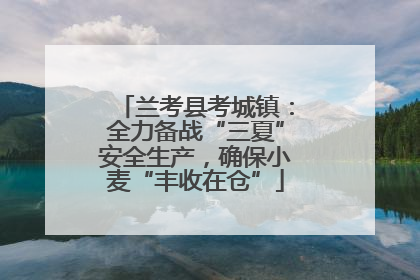 兰考县考城镇：全力备战“三夏”安全生产，确保小麦“丰收在仓”