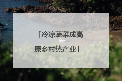 冷凉蔬菜成高原乡村热产业