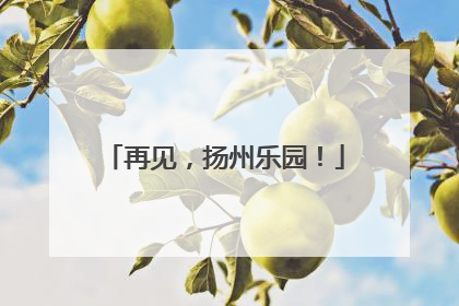 再见，扬州乐园！