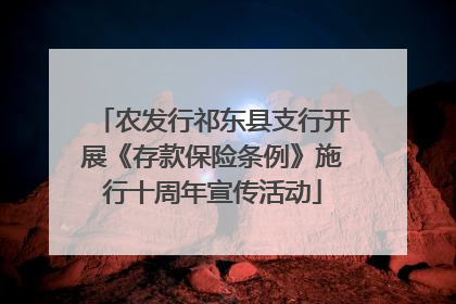 农发行祁东县支行开展《存款保险条例》施行十周年宣传活动