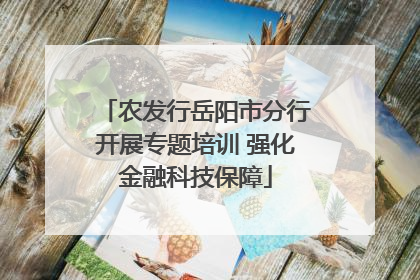 农发行岳阳市分行开展专题培训 强化金融科技保障
