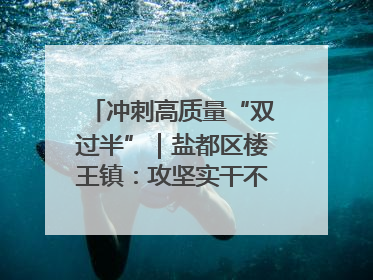 冲刺高质量“双过半”｜盐都区楼王镇：攻坚实干不停歇 奋力跑赢“上半场”