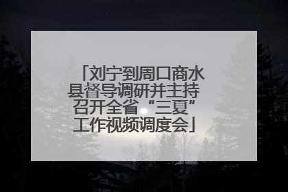 刘宁到周口商水县督导调研并主持召开全省“三夏”工作视频调度会