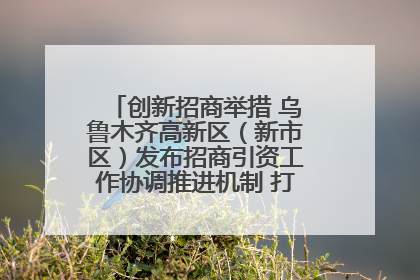 创新招商举措 乌鲁木齐高新区（新市区）发布招商引资工作协调推进机制 打造投资发展新高地