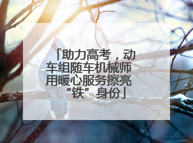 助力高考，动车组随车机械师用暖心服务擦亮“铁”身份