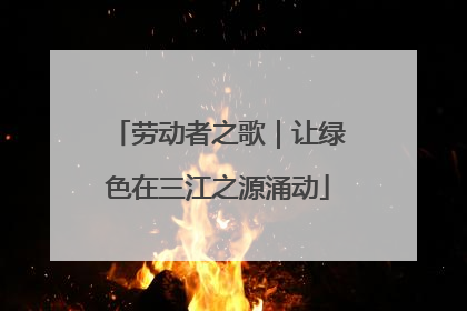 劳动者之歌｜让绿色在三江之源涌动