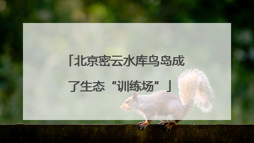 北京密云水库鸟岛成了生态“训练场”