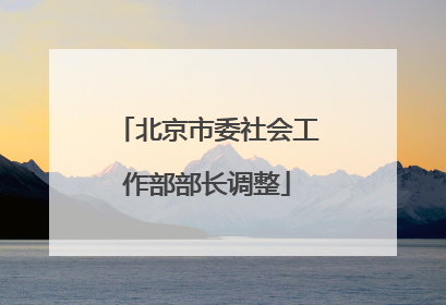 北京市委社会工作部部长调整