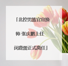 北控男篮官宣换帅 张庆鹏上任 闵鹿蕾正式离任