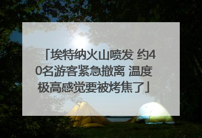 埃特纳火山喷发 约40名游客紧急撤离 温度极高感觉要被烤焦了