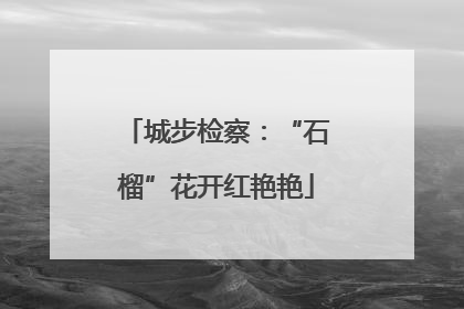 城步检察：“石榴”花开红艳艳