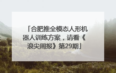 合肥推全模态人形机器人训练方案，请看《浪尖周报》第29期