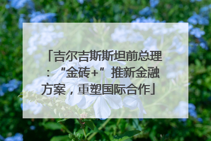 吉尔吉斯斯坦前总理：“金砖+”推新金融方案，重塑国际合作