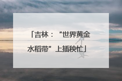 吉林：“世界黄金水稻带”上插秧忙